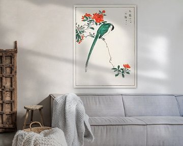 Japanse illustratie met lange staartmees en granaatappel door Numata Kashu