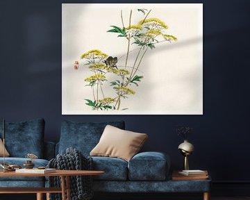 Flannel flower (Actinotus helianthi) door Kōno Bairei van Studio POPPY