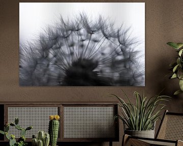 Vrucht van een paardenbloem met silhouet van pluisjes tegen lichte achtergrond van Henk Vrieselaar