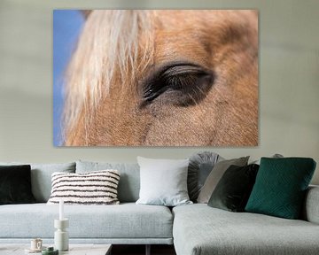 Deel van het hoofd van een kastanjekleurig paard van Henk Vrieselaar