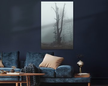 vieil arbre dans le brouillard sur Marc-Sven Kirsch