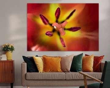 Close-up of a red-yellow tulip with pistil and stamens by Henk Vrieselaar