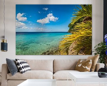 Strand en palmbomen op Curacao van Eiland-meisje