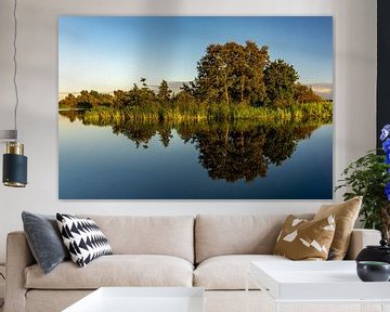 Symmetrisches Foto von Bäumen, Pflanzen und Schilf am Ufer, das sich im Wasser spiegelt, in Giethoor von Dafne Vos