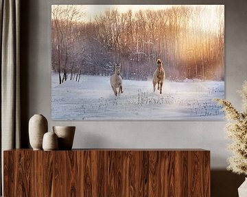 galopperende veulens in het winterlandschap van Carola Meyer