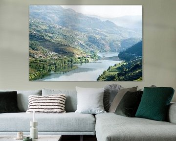 Douro-Fluss zwischen Weinbergen: Portugal von The Book of Wandering