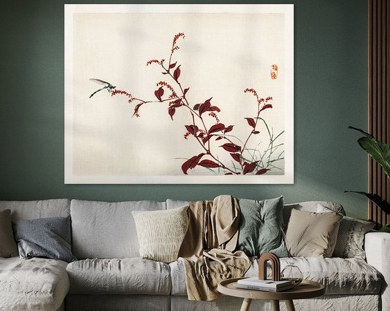 Aperçu de la chambre