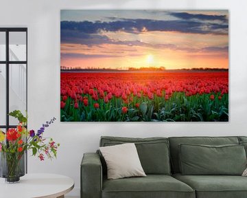 Red tulips in a field during a springtime sunset by Sjoerd van der Wal
