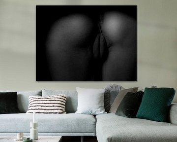 Artistiek Naakt van een Vagina en Billen in Low Key van Art By Dominic