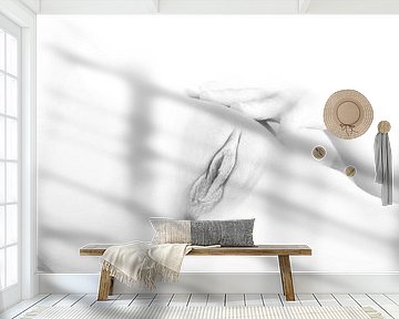 Artistic Nude of a Vagina in High Key Black and White by Art By Dominic