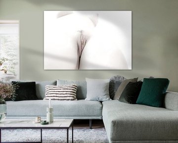 Künstlerischer Akt einer Vagina in High Key Farbe von Art By Dominic