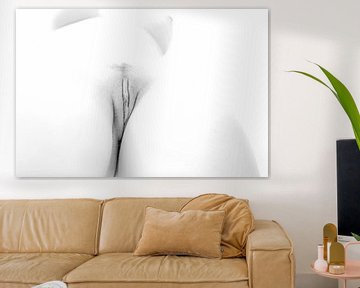 Artistic Nude of a Vagina in High Key Black and White by Art By Dominic