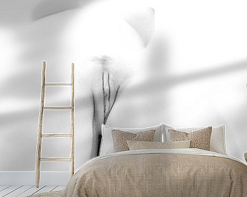 Artistic Nude of a Vagina in High Key Black and White by Art By Dominic