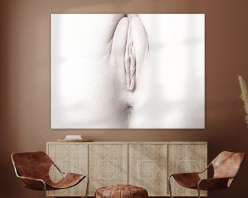 Künstlerischer Akt einer Vagina in High Key Farbe von Art By Dominic