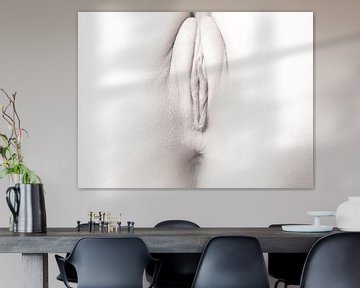 Artistiek Naakt van een Vagina in High Key Kleur van Art By Dominic