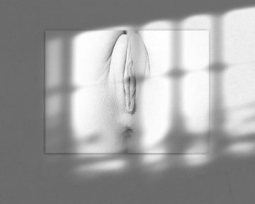 Künstlerischer Akt einer Vagina in High Key Schwarz und Weiß von Art By Dominic