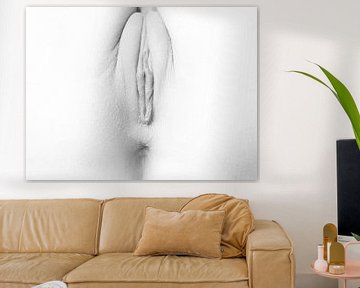 Künstlerischer Akt einer Vagina in High Key Schwarz und Weiß von Art By Dominic