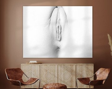 Artistiek Naakt van een Vagina in High Key Zwart Wit van Art By Dominic