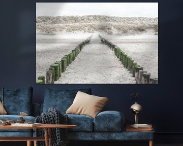 Poteaux de plage en bois sur la plage et le cordon de dunes en Zélande.