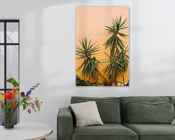 Caribische oranje muur met typische plant van Annemarie Dufrasnes