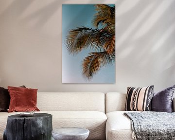 Palmbladeren bij zonsondergang in de caraïben van Annemarie Dufrasnes
