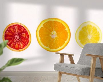Three citrus slices: lemon, orange and blood orange by Ans van Heck