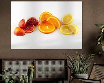 Scheiben und Segmente von Zitrusfrüchten vor einem hellen Hintergrund. von Ans van Heck