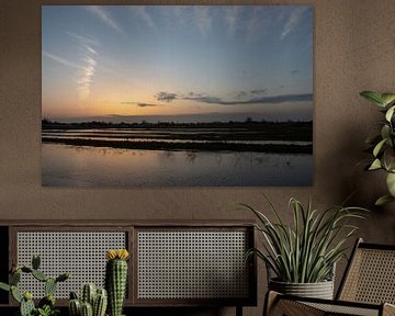 Morning sun in the polder by Petra van der Zande