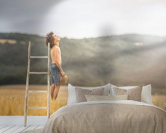 Aperçu de la chambre