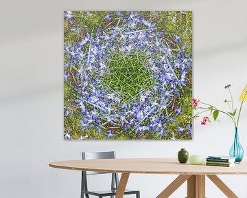 Grape Hyacinth van Frans Blok