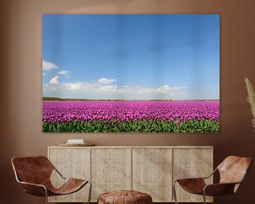 Des tulipes pourpre vif poussant dans un champ. sur Sjoerd van der Wal Photographie