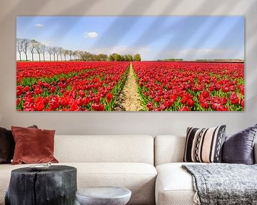 Tulpen in een veld met een pad tussen de bloemen van Sjoerd van der Wal