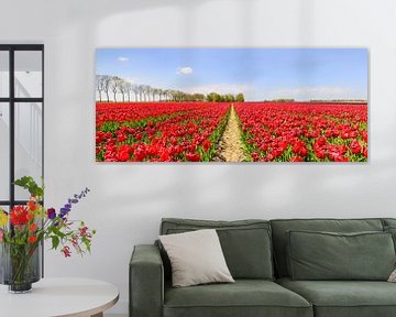 Tulpen in een veld met een pad tussen de bloemen van Sjoerd van der Wal