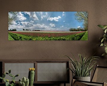 Tulpen auf einem Feld im Frühling im Noordoostpolder, Flevoland von Sjoerd van der Wal Fotografie