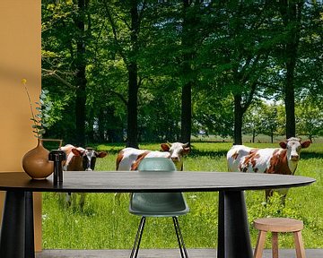Koeien in het groene gras in een weiland van Sjoerd van der Wal Fotografie
