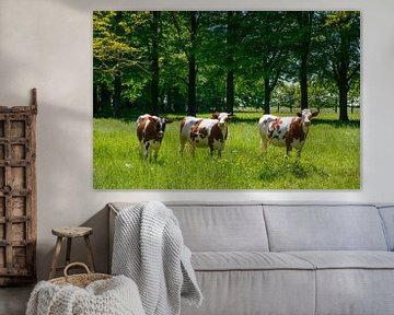Koeien in het groene gras in een weiland van Sjoerd van der Wal Fotografie