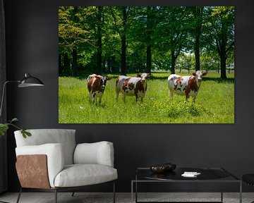 Drei Kühe stehen im grünen Gras auf einer Wiese von Sjoerd van der Wal