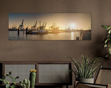 Zonsondergang aan de Elbe promenade Hamburg/Altona van Jonas Weinitschke