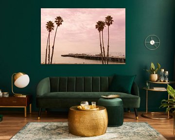Palmbomen Santa Cruz USA van Ronald Tilleman