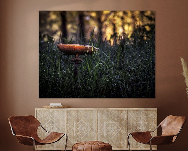 Aperçu de la chambre