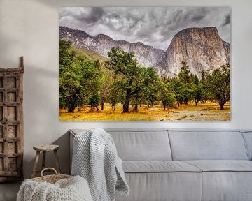 Landscape in Yosemite Valley in Yosemite National Park California View of el Capitan by Dieter Walther