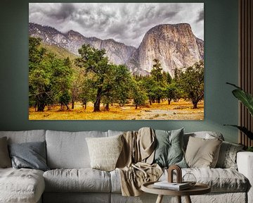 Landschaft im Yosemite Tal im Yosemite  Nationalpark Kalifornien Blick auf el Capitain von Dieter Walther