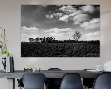 De eenzame boom - zwart en wit landschap fotografie van Linsey Aandewiel-Marijnen