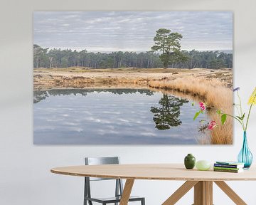 Reflectie van een boom van zeilstrafotografie.nl