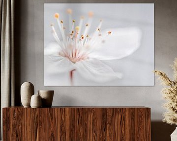 Blossom by Esther van Dijk