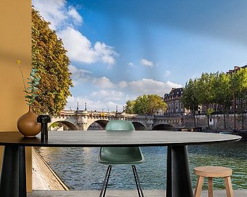 View over the Seine to Paris, France by Rico Ködder