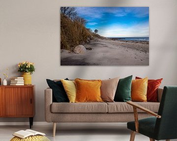 Wilder Strand von Tom van Dutch