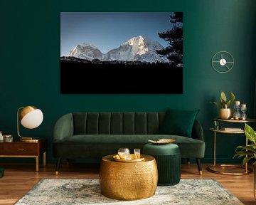 Silhouet van een Himalaya bos van Felix Kammerlander