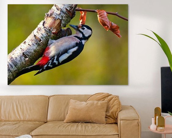 Aperçu de la chambre