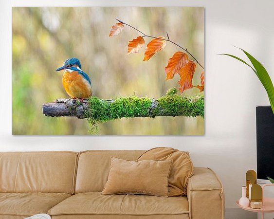 Aperçu de la chambre